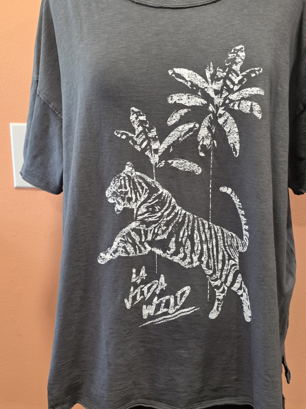 aerie NWT Charcoal Gray Graphic Short Sleeve Tee Boyfriend Boxy T White Tiger - Picture 5 of 14